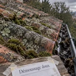 Lichen sur toiture sur tuiles terre cuite, plaques vertes et grises